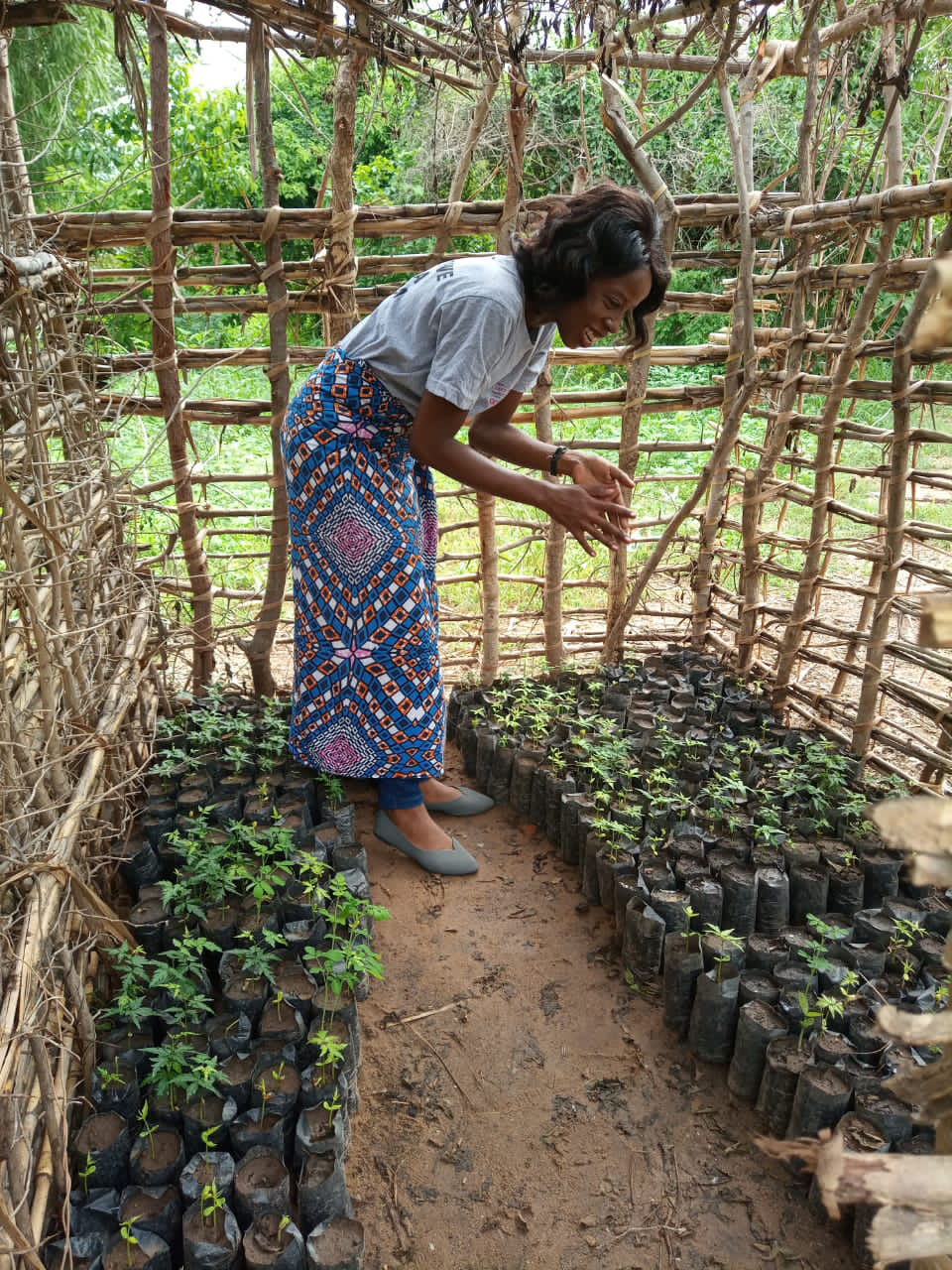 A woman working at Thomas's Tree Nursery