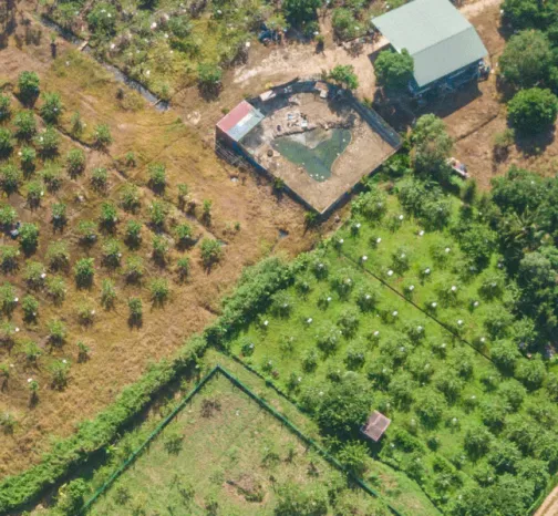 Cover image for Building Preparedness and Protection in Smallholder Agriculture