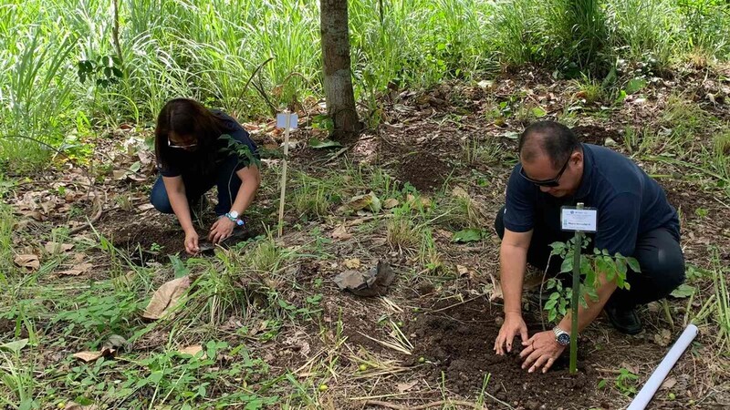 Two people planting trees in the Philippines